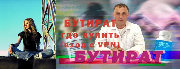 индика Вяземский