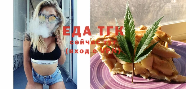 индика Вяземский