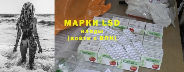 сатива Гусиноозёрск