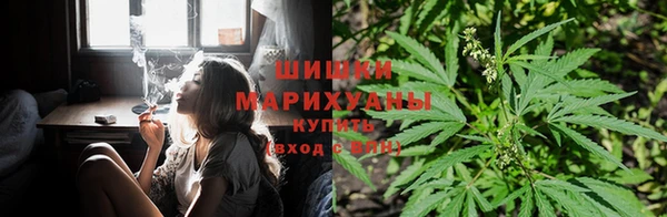 прущие крисы Майский