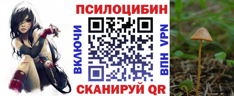 наркота ОМГ ОМГ вход Галлюциногенные грибы Magic Shrooms Гусиноозёрск