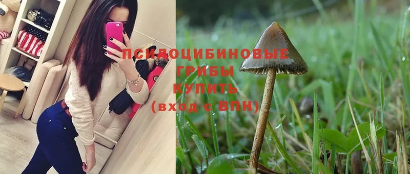 Псилоцибиновые грибы Magic Shrooms  Гусиноозёрск 